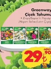 GREENWAY ÇİÇEK TOHUMU